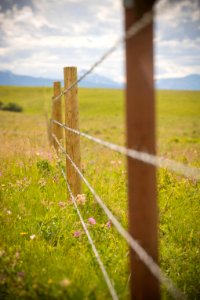 5392 NRCS projects