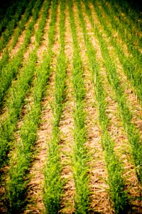 4582 NRCS projects