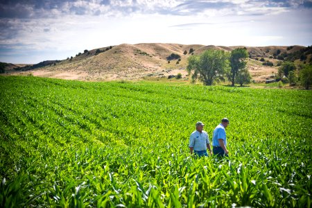 6551 NRCS projects.jpg