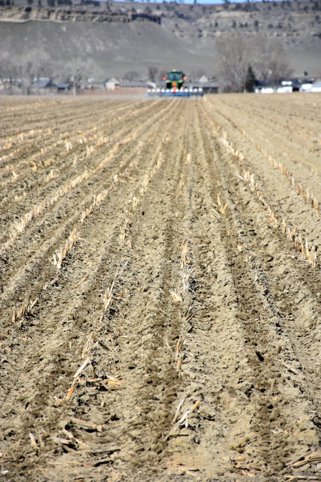 conservationtillage34