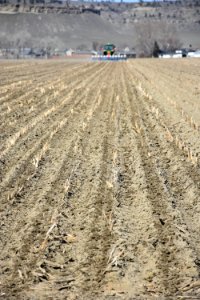 conservationtillage34