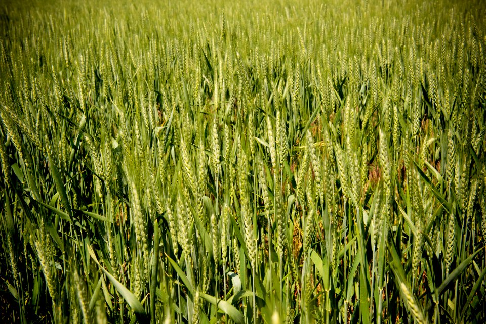 3087 NRCS projects