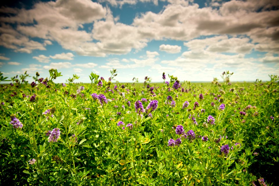 2990 NRCS projects