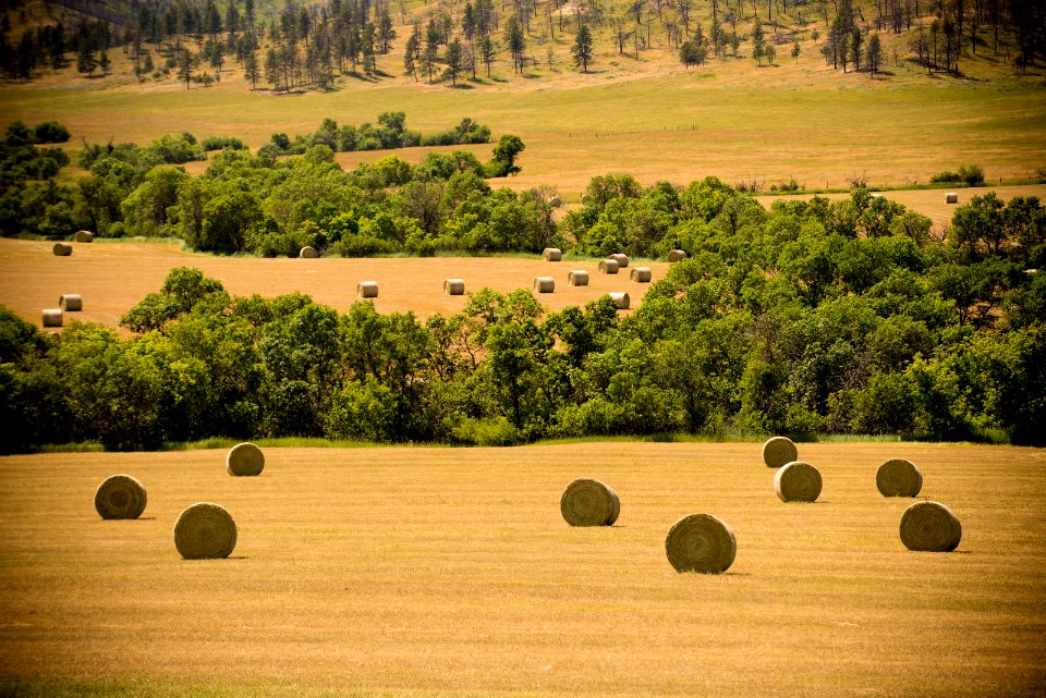 6533 NRCS projects.jpg
