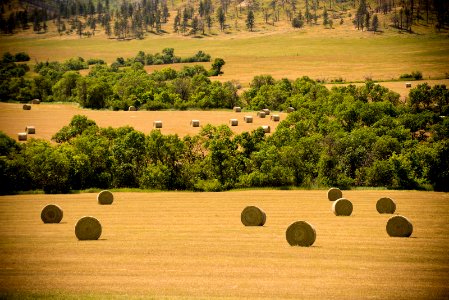 6533 NRCS projects.jpg
