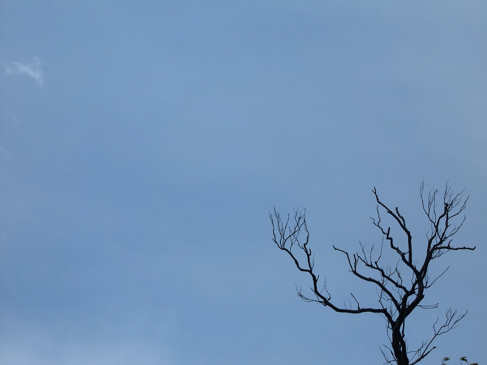 Organic agriculture branches