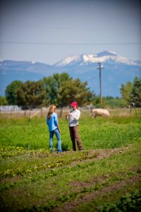 2060 NRCS projects