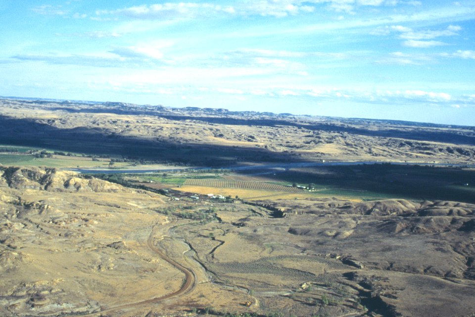 Riparian60.tif