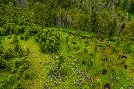 Jgibson Day3 0073 DJI 0654