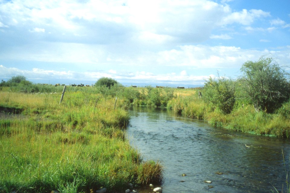 Riparian92.tif