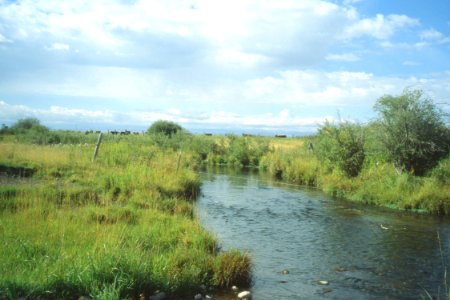 Riparian92.tif