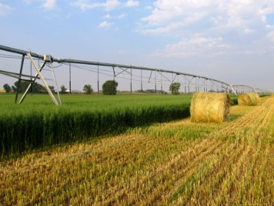 pivot and harvest.jpg