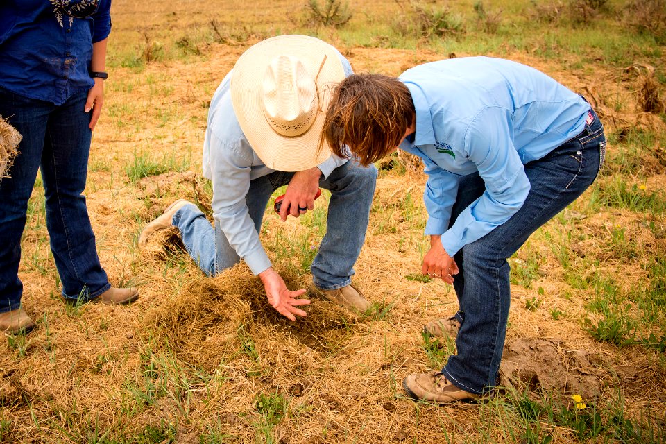 5564 NRCS projects.jpg