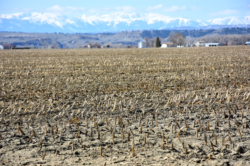 conservationtillage36