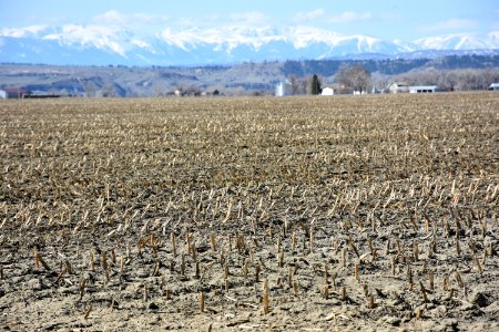 conservationtillage36