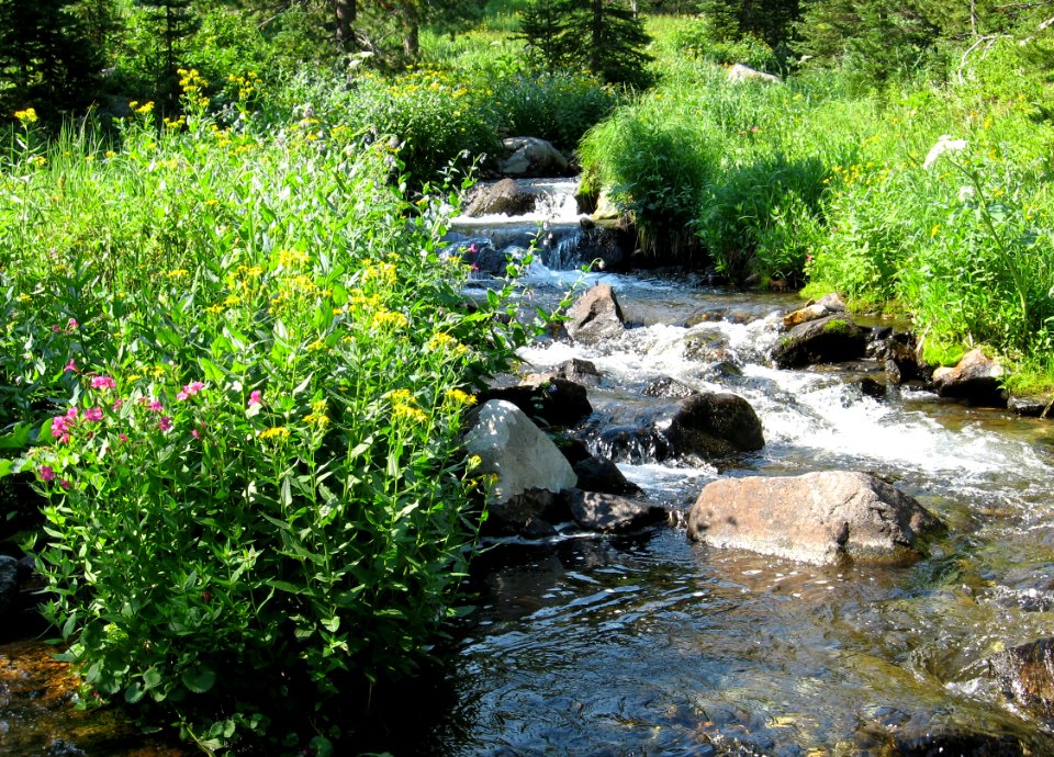 Riparian111.tif