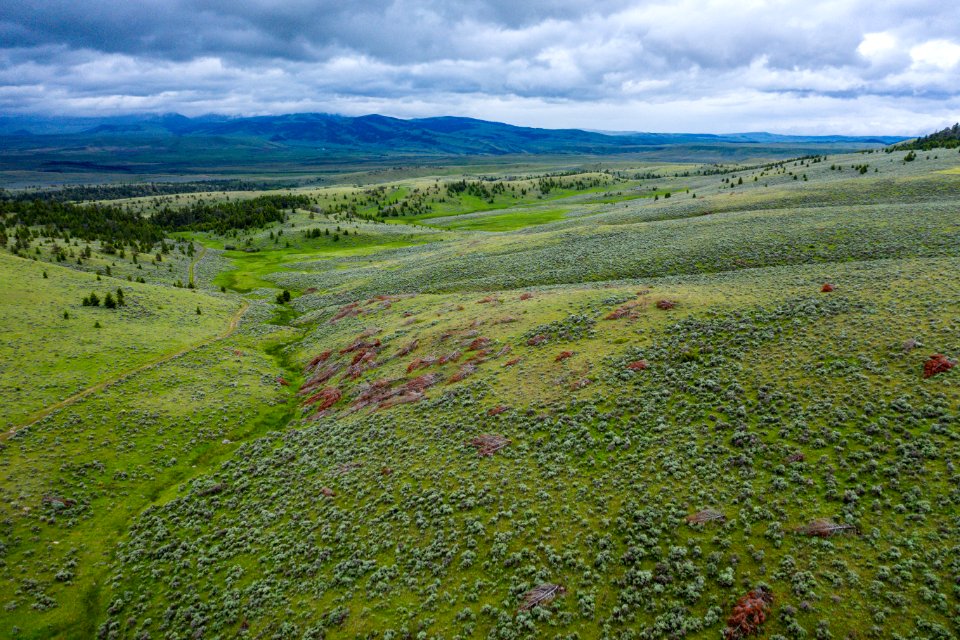 Jgibson Day3 0090 DJI 0666