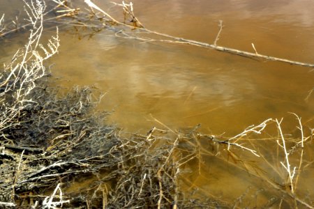 Water09.tif