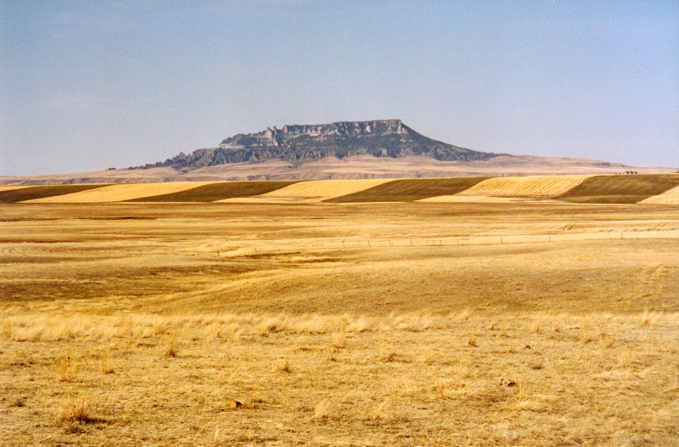 Soil Survey119.jpg