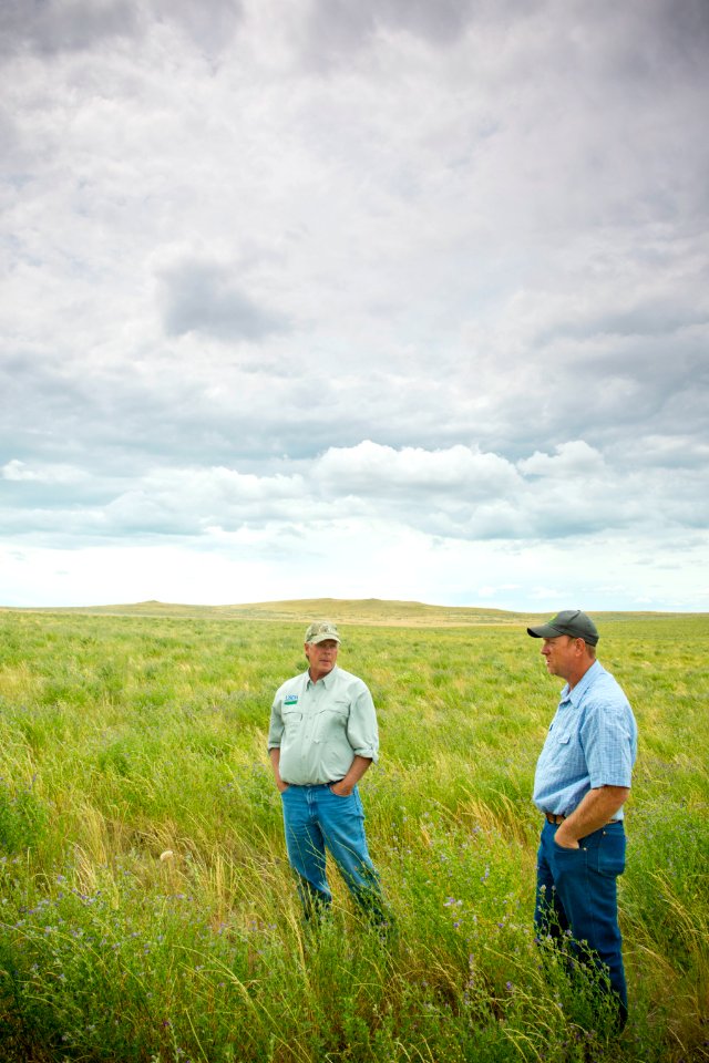 6833 NRCS projects.jpg