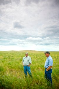 6833 NRCS projects.jpg