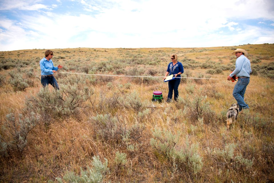 5840 NRCS projects.jpg