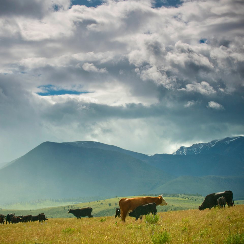 3499 NRCS projects