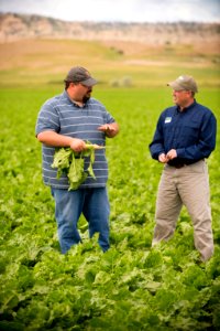 4281 NRCS projects