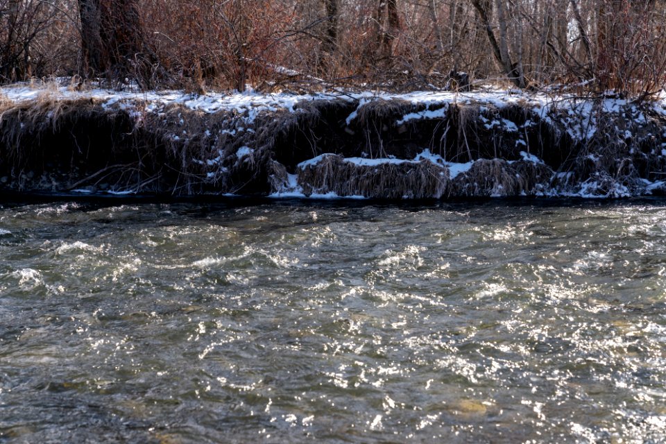 JGIBSON NRCS  DSC0156