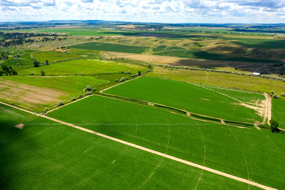 Jgibson Day6 0130 DJI 0805