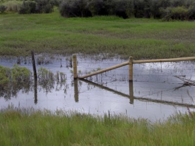 Floods90
