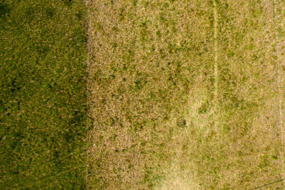 Jgibson Day1 0042 DJI 0145