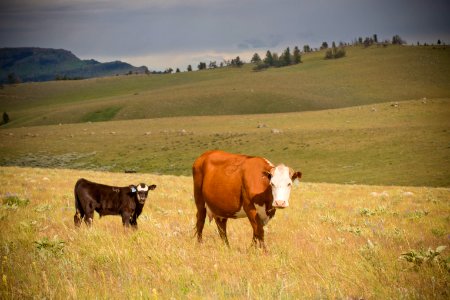 3506 NRCS projects