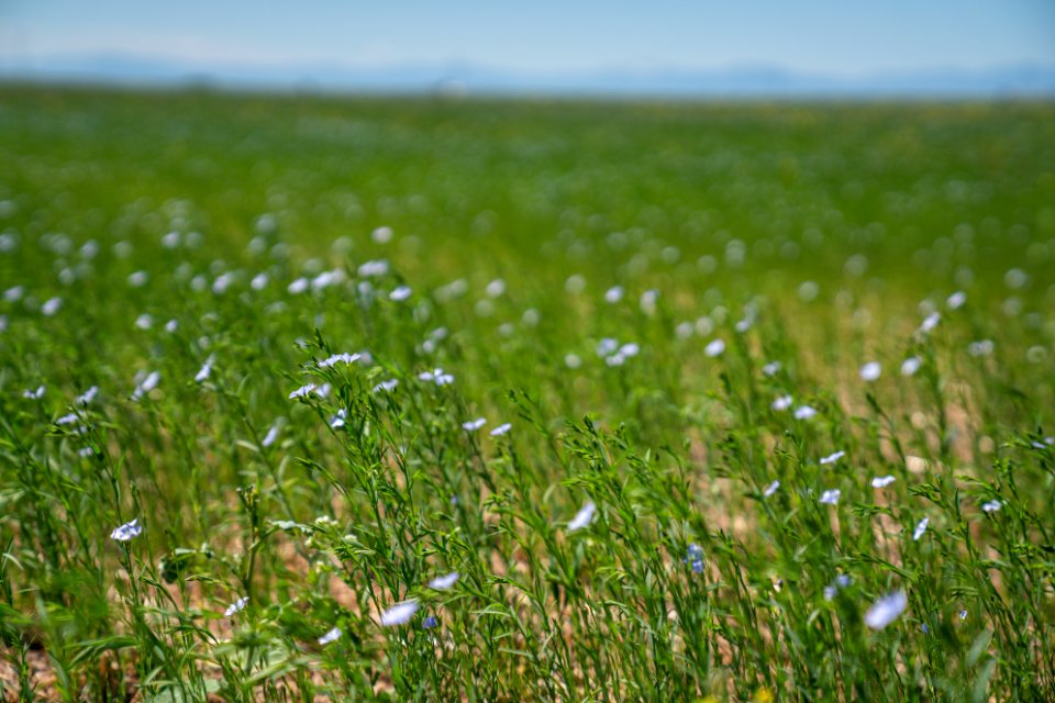 Jgibson Day10 0060  DSC1251