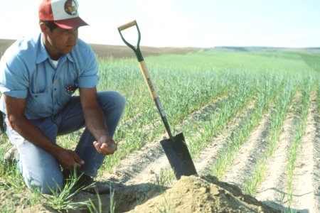 Soil Survey56.tif photo