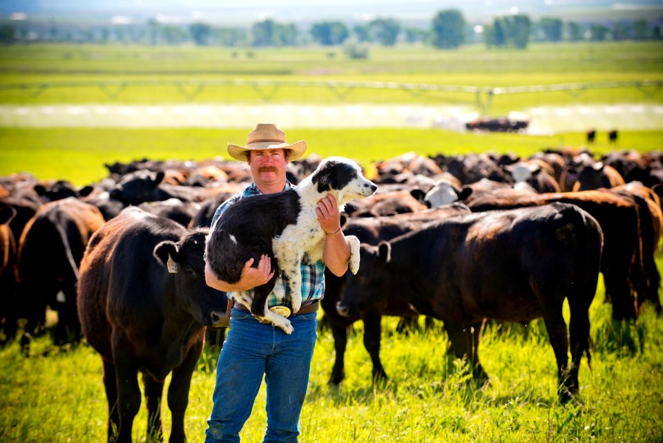 1244 NRCS projects