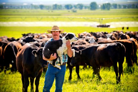 1244 NRCS projects