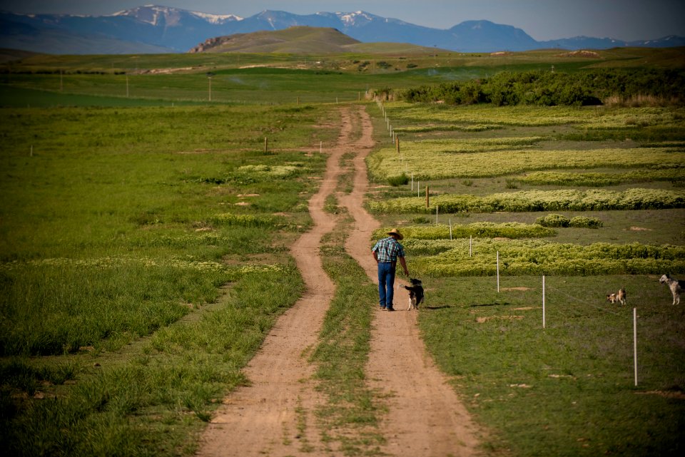 1171 NRCS projects