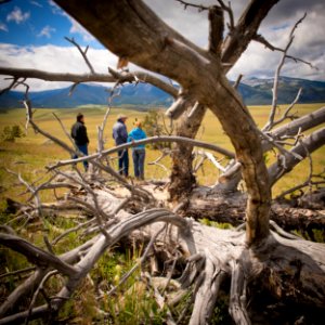3318 NRCS projects