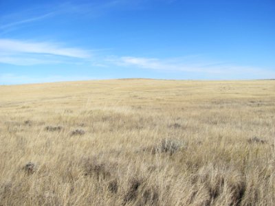 Rangeland156
