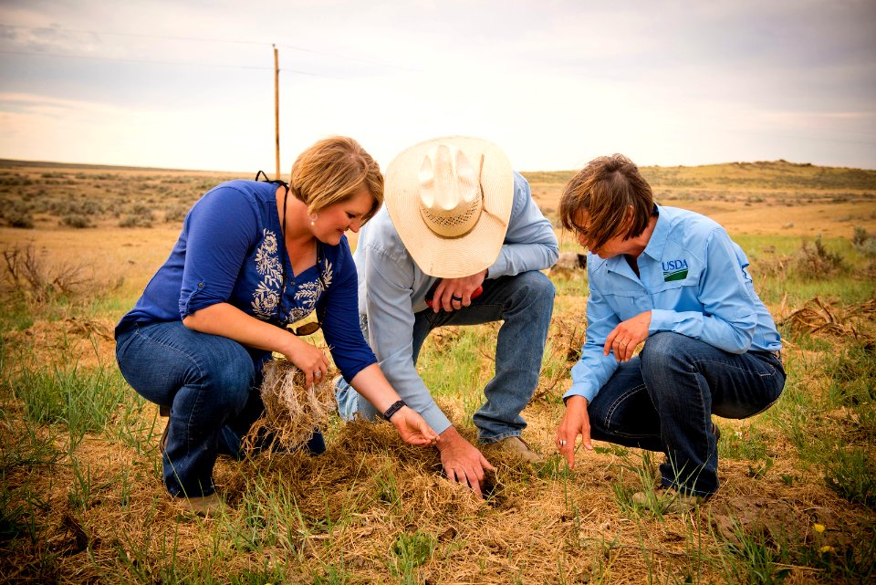 5567 NRCS projects.jpg