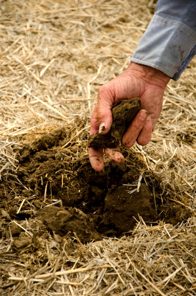 Crop Residue Management NR 03