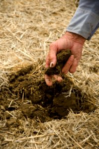 Crop Residue Management NR 03