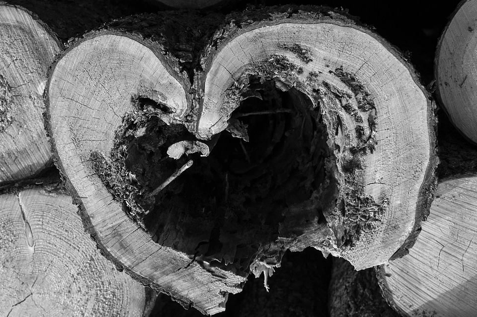 Love valentine romantic