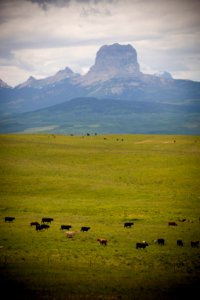 5252 NRCS projects