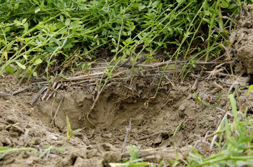Crop Residue Management NR 24