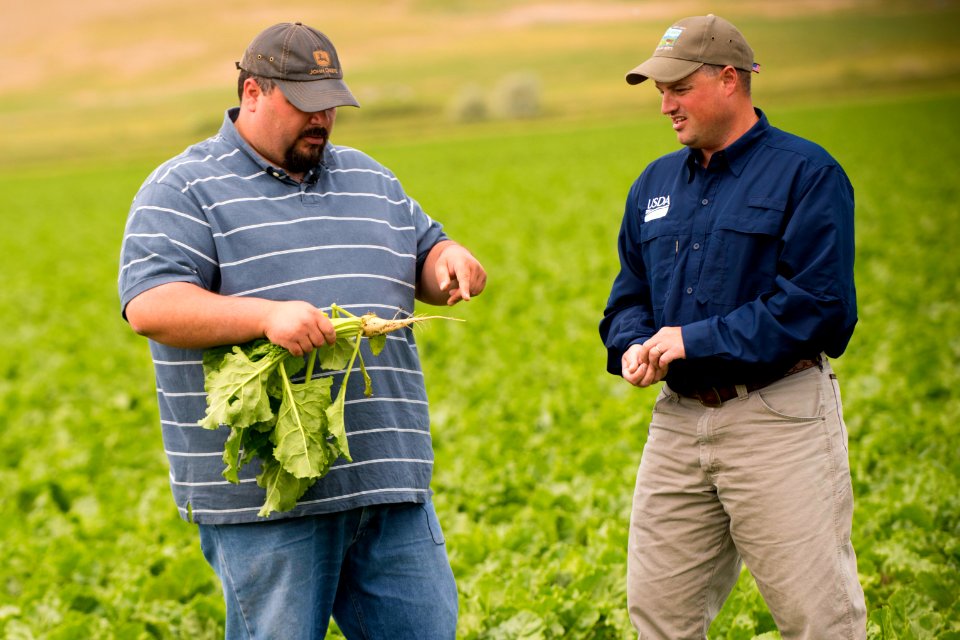 4276 NRCS projects