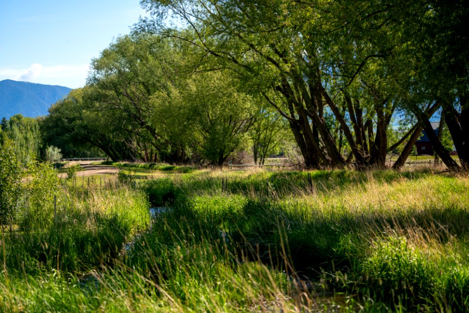 Jgibson Day5 0039  DSC8678