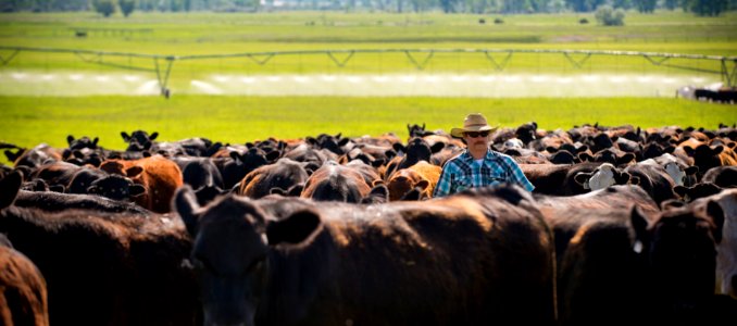 1232 NRCS projects