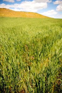 3088 NRCS projects